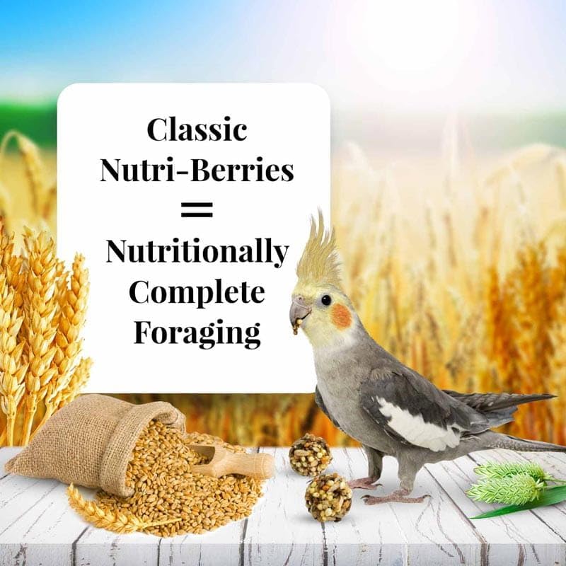 Lafeber Klassische Nutritrieer, 1.47 kg