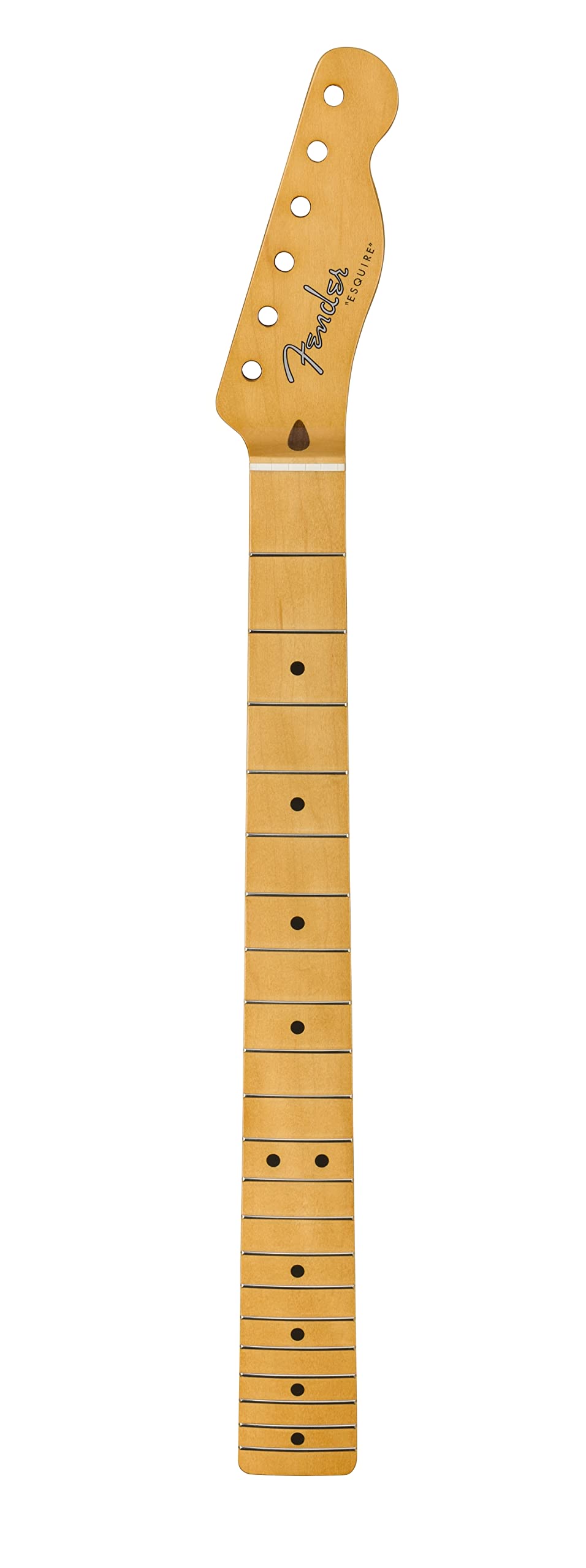 Fender 50's Esquire Neck Maple - Gitarren Ersatzteil