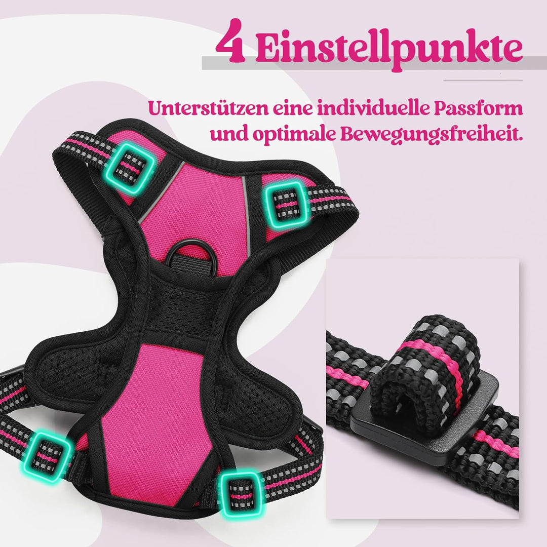 rabbitgoo Hundegeschirr Kleine Hunde, Anti Zug Geschirr mit Kontrolle, No Pull Verstellbar Hundegesc