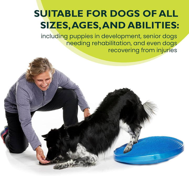 Ball Dynamics FPAWSBD 22 FitPAWS Balance Scheibe, 56 cm, blau
