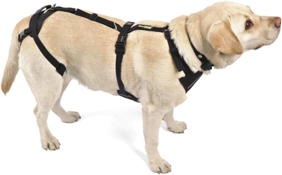 Ortocanis - Ganzkörper-Hundegeschirr zur Unterstützung von Vorder- und Hinterbeine, Grösse S Grösse