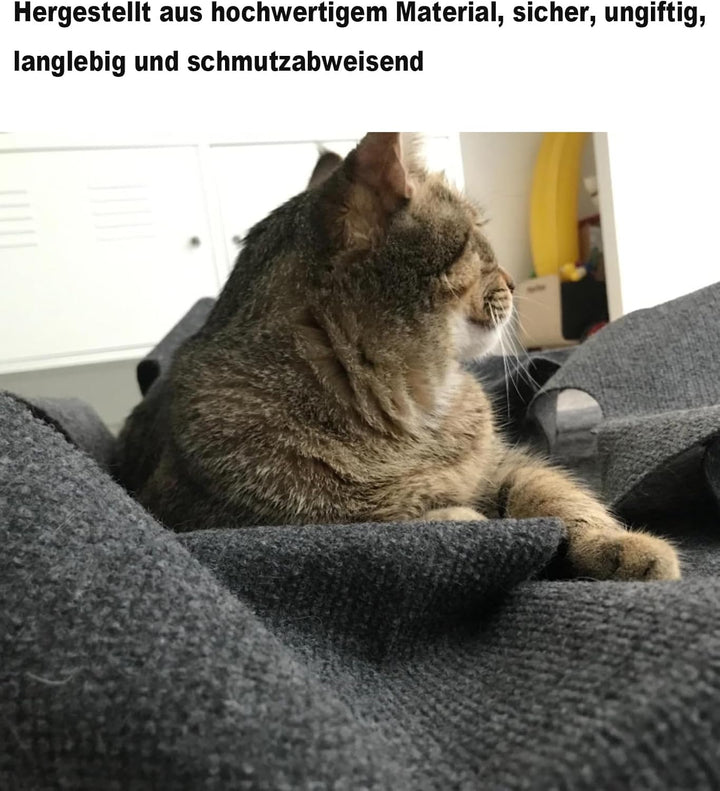 Katzenspielzeug und Kratzmatte, Spielmatte für Katzen, Interaktive Trainingsmatte, Katzenteppich Cat
