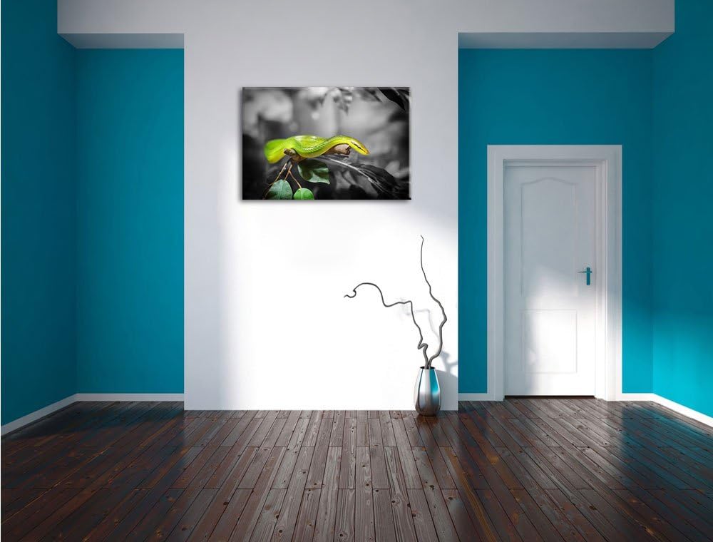 Pixxprint Raue grüne Schlange als Leinwandbild/Grösse: 100x70 / Wandbild/Kunstdruck/fertig bespannt,