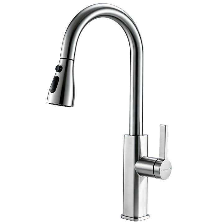 Wasserhahn Küche Ausziehbar, 2 Wasserauslauf Modi, Chrom