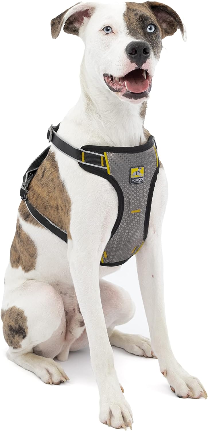 Kurgo Impact Hunde-Autogeschirr, Crashtest-geprüft für mehr Sicherheit, Für Hunde von 11-23 kg geeig