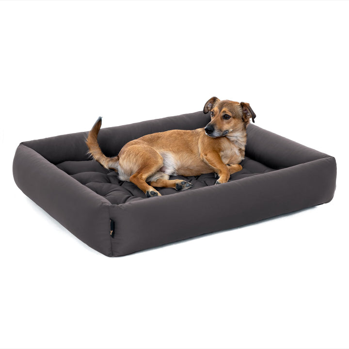 Doctor Bark Pointer | Hundebett mit Hundekissen - orthopädisch, waschbar, bequem (XXL - 100x90 cm, A