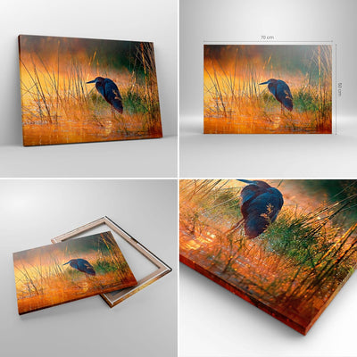 Bilder auf Leinwand Vogel Natur Wasser Leinwandbild mit Rahmen 70x50cm Wandbilder Dekoration Wohnzim