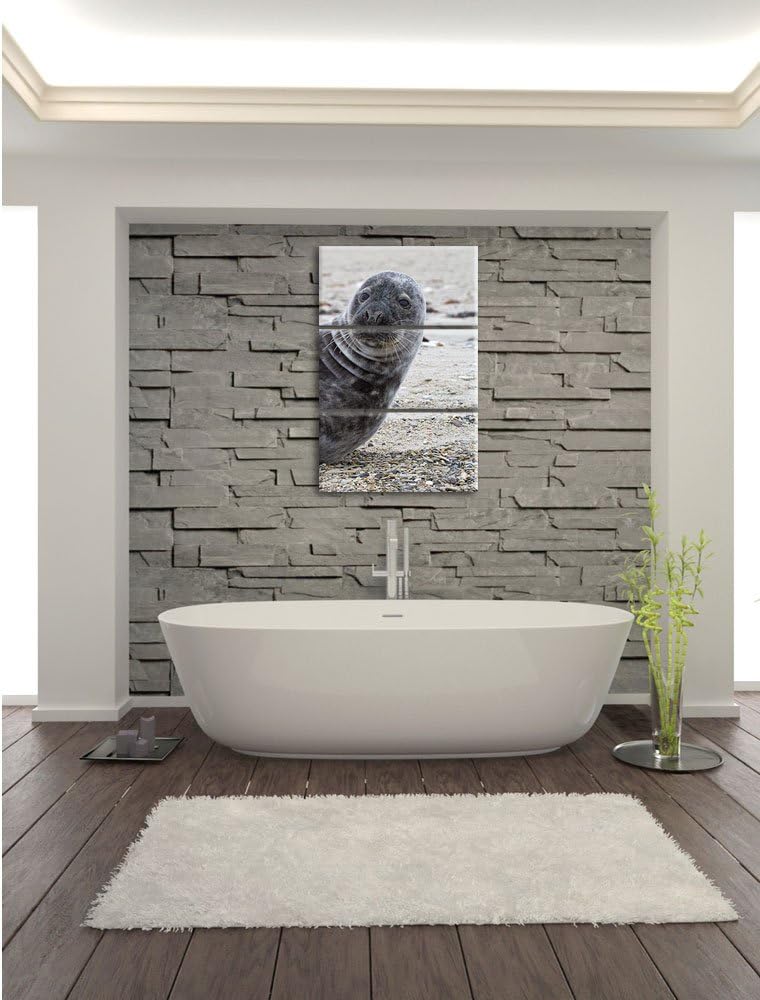 Pixxprint Robbe an Kiesstrand als Leinwandbild/Grösse: 3 Teilig (120x80) cm/Wandbild/Kunstdruck/fert