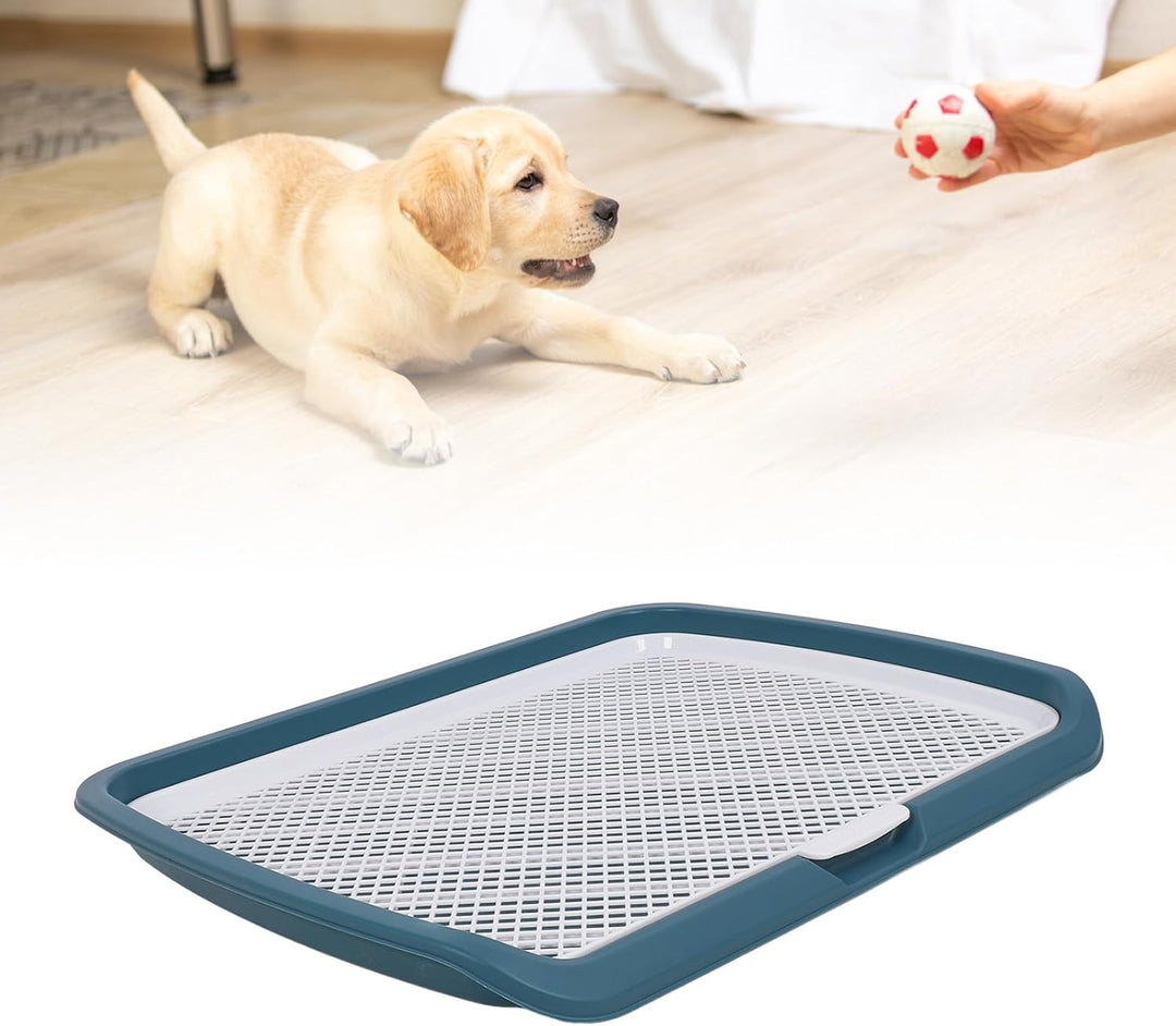GLOGLOW Hundetoilette mit Gitter für Welpen, Abnehmbare Trainingsschale, 50 x 66 x 5 cm, Blau BLUE,