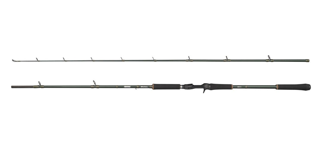 Abu Garcia Beast X Casting Rod, Freshwater Angler Fishing for Pike Perch &amp; Zander, Strong Leightweig