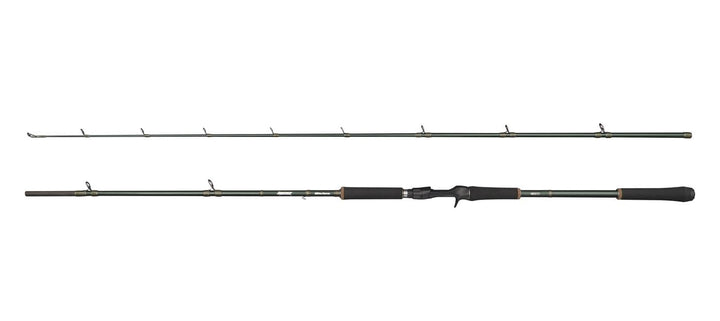 Abu Garcia Beast X Casting Rod, Freshwater Angler Fishing for Pike Perch &amp; Zander, Strong Leightweig