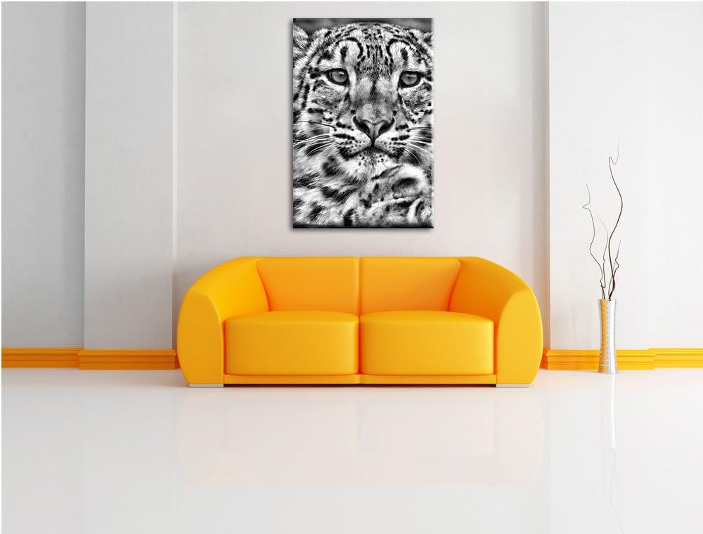 Pixxprint Monocrome, scheuer Schneeleopard, Format: 100x70 auf Leinwand, 100x70