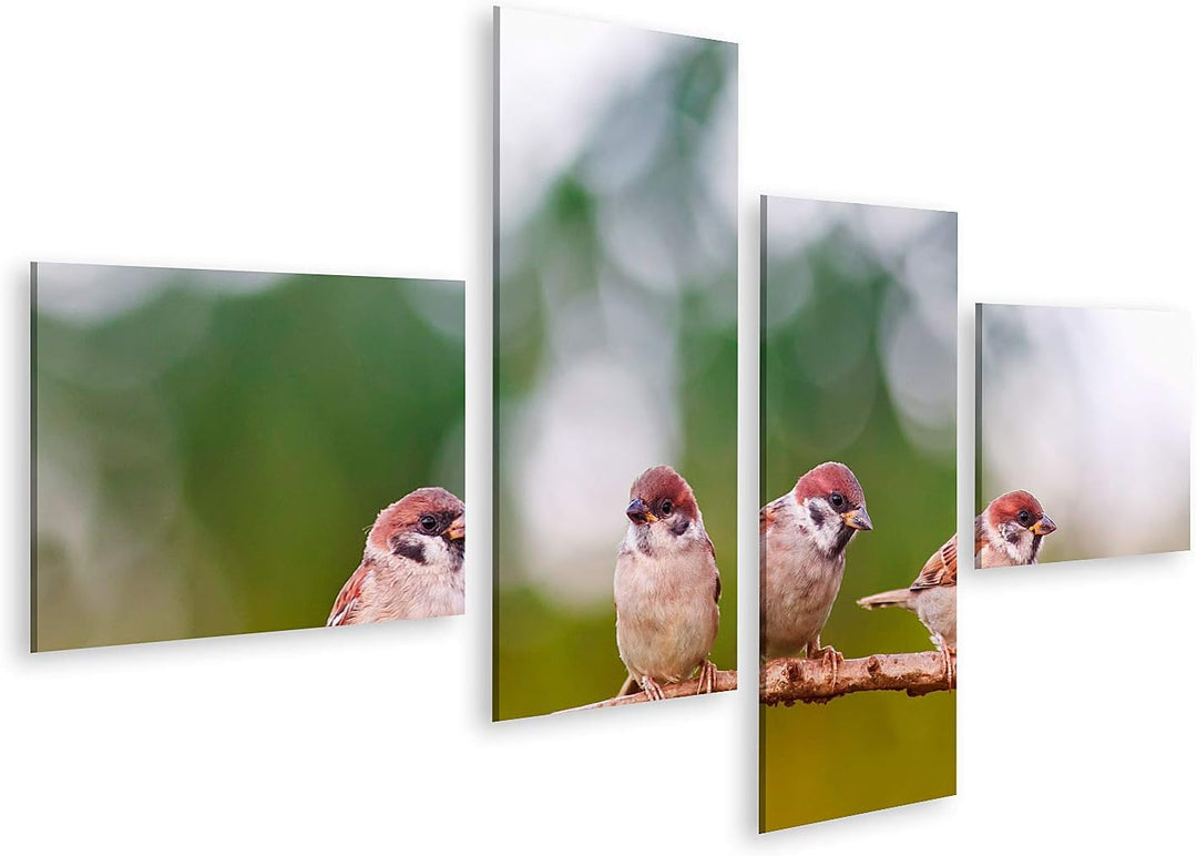islandburner Bild auf Leinwand Lustige Spatzen Vögel Gruppe Frühling Bilder Wandbilder Poster Leinwa