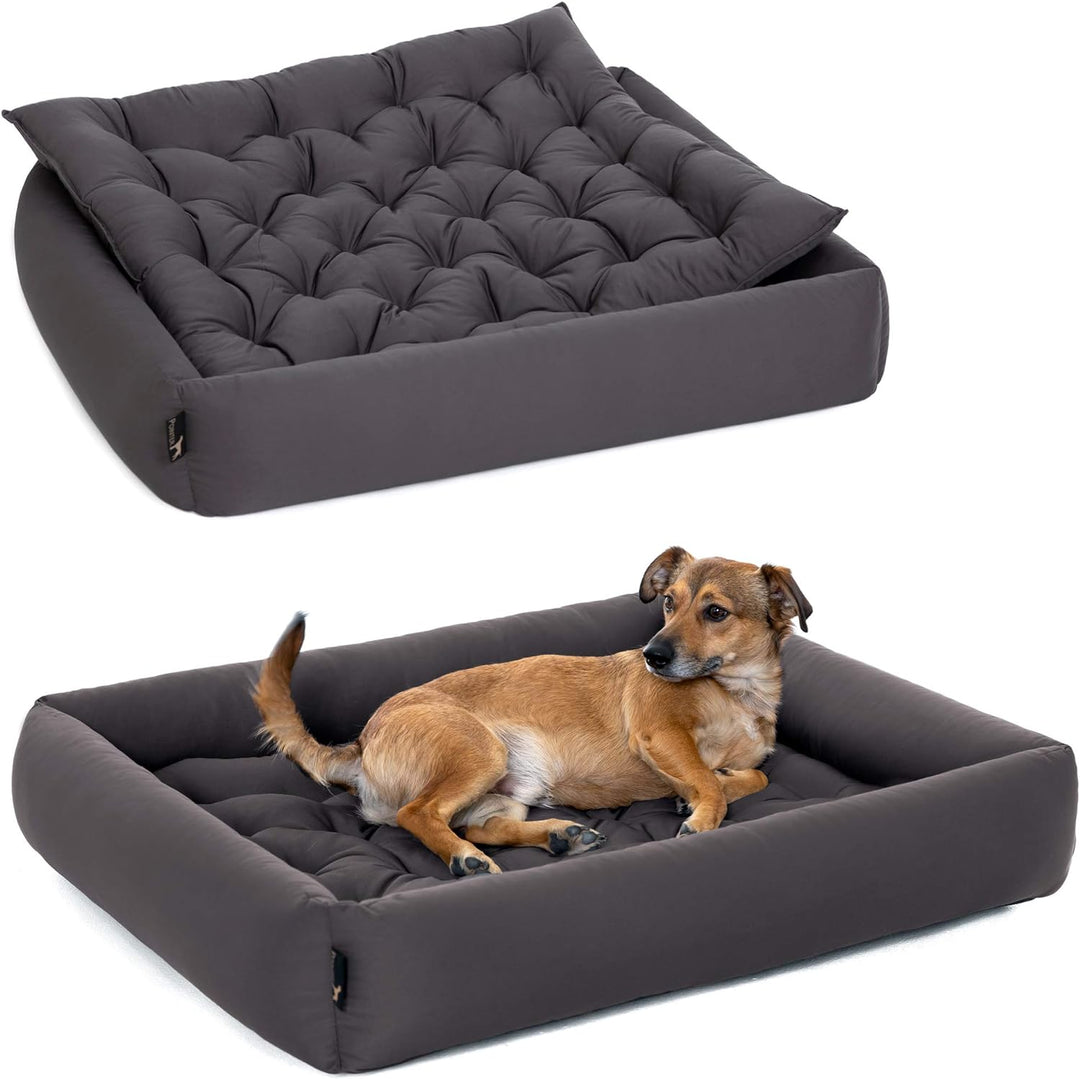 Doctor Bark Pointer | Hundebett mit Hundekissen - orthopädisch, waschbar, bequem (XL - 90x80 cm, Ant