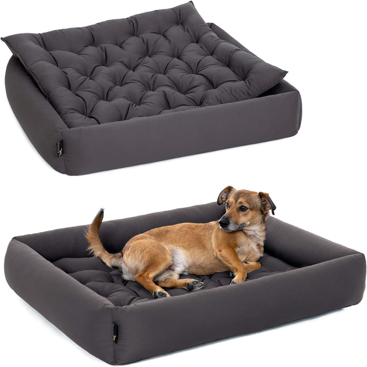 Doctor Bark Pointer | Hundebett mit Hundekissen - orthopädisch, waschbar, bequem (XL - 90x80 cm, Ant