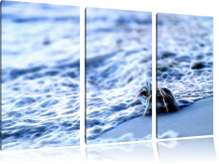 kleine Krabbe am Strand NewArt 3-Teiler Leinwandbild 120x80 Bild auf Leinwand, XXL riesige Bilder fe