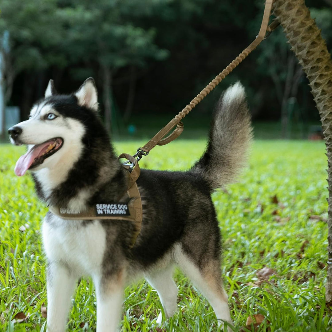 EXCELLENT ELITE SPANKER No Pull Hundegeschirr Verstellbares Nylon-Hundegeschirr mit Kontrollgriff fü