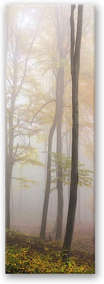 Feeby Leinwand Bilder - Natur - Wald - 50x150 cm- Deko Wohnzimmer - Wandbilder Schlafzimmer - Deko A