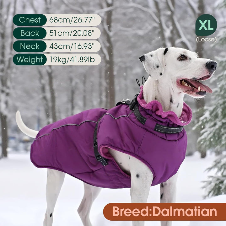 Kuoser Hundemantel für Mittelgrosse Hunde Winter, wasserdichte Hundejacke mit Geschirr, Warmer Winte