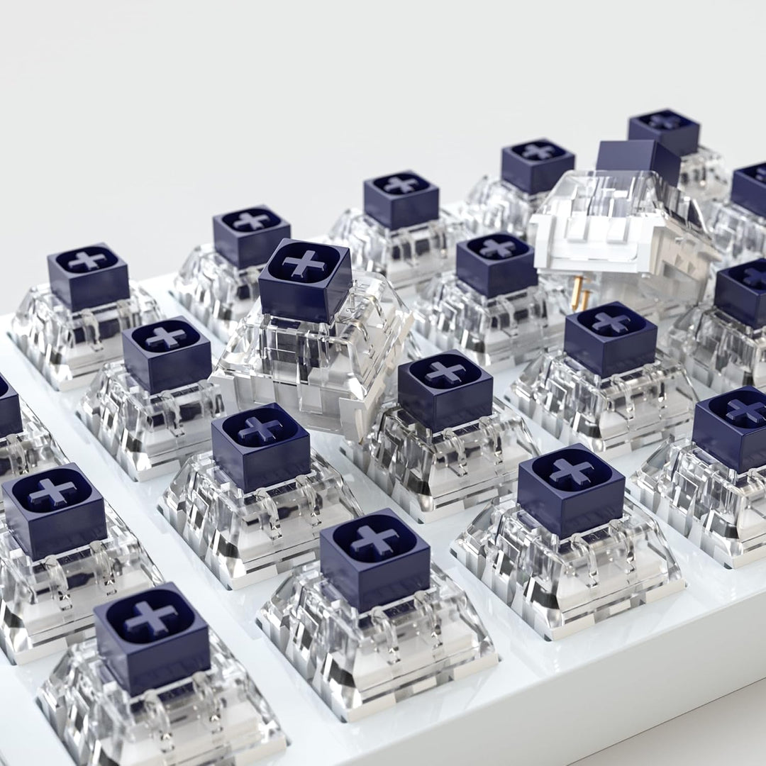 Zjmehty Kailh Box Navy Schalter für mechanische Gaming-Tastatur,3-Pin 60gf Clicky/Factory Lubed/IP56
