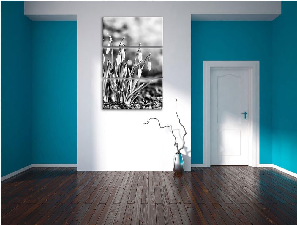 Pixxprint Schneeglöckchen am Waldrand als Leinwandbild/Grösse: 3 Teilig (120x80) cm/Wandbild/Kunstdr