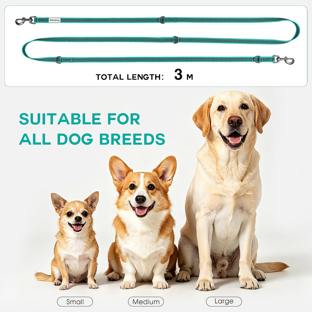 Wisedog 3m Seegrün doppelendige gummierte Hundeleine Leichtgewichtige Hands Free Leine für Hund ruts