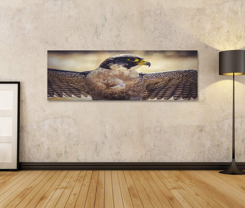 islandburner Bild auf Leinwand Wanderfalke Offene Flügel Vogel Gefieder Bilder Wandbilder Poster Lei