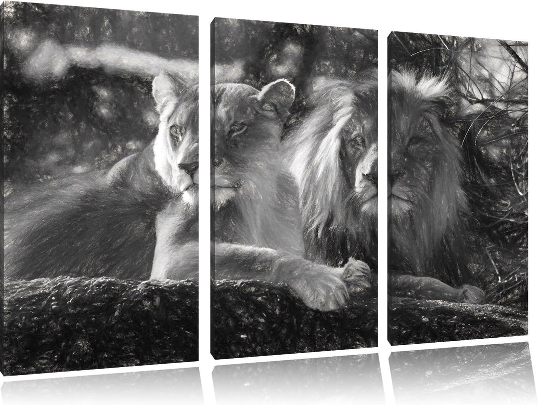 Pixxprint interessiertes Löwenpaar Kunst als Leinwandbild/Grösse: 3 Teilig (120x80) / Wandbild/Kunst