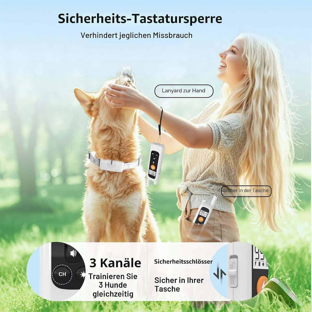 Generisch Erziehungshilfen,Ideal auch für Agility-Training.Praktische Hundeerziehungshilfen,Das Hund