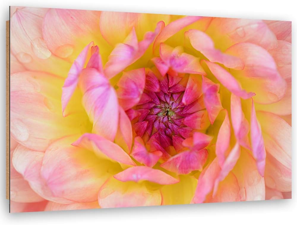 Feeby Wanddeko Blume Bild Kunstdruck modern Natur Rosa 80x60 cm Deko Paneel 80x60 cm Rosa_B, Deko Pa