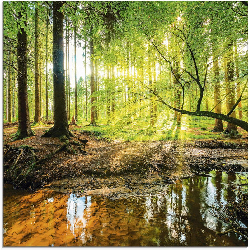 Glasbilder Wandbild Glas Bild einteilig 50x50 cm Quadratisch Wald Natur Landschaft Bäume Bach Sonne