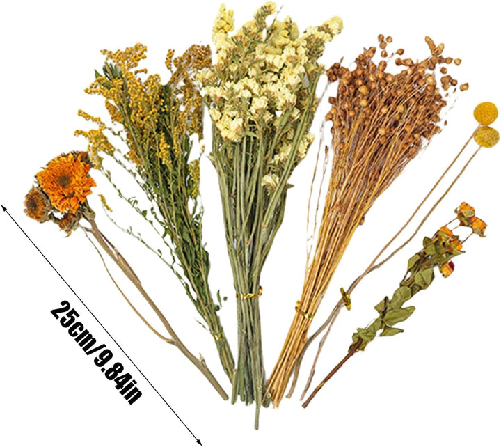 Trockenblumen-Bettwäsche für Hamster, natürliche Hamster-Bettwäsche, Kleintierblumen, Lebensraum-, L