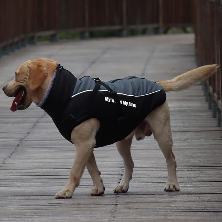 Hundejacke mit Geschirr,Gefütterte Hunde Winterjacke mit Leine wasserdichte Hunde-Winterjacke Wasser