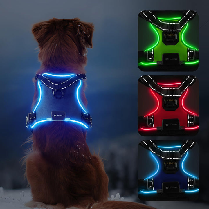 MASBRILL Leuchtgeschirr für Hunde Aufladbar, LED Hundegeschirr Verstellbar Reflektierende Brustgesch