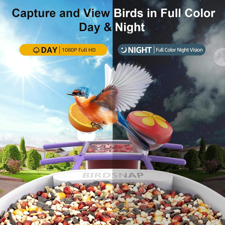 PAV- Vogelfutterstation mit Kamera Solarpanel, 64GB Karte & 2K HD Aufnahme Vogelvideo Vogelhaus für