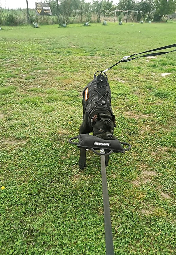 Dingo Gear Beisskissen Gestärkt aus Baumwolle-Nylon Ausbildung IGP IPO K9 Hundetraining S00522 Baumw