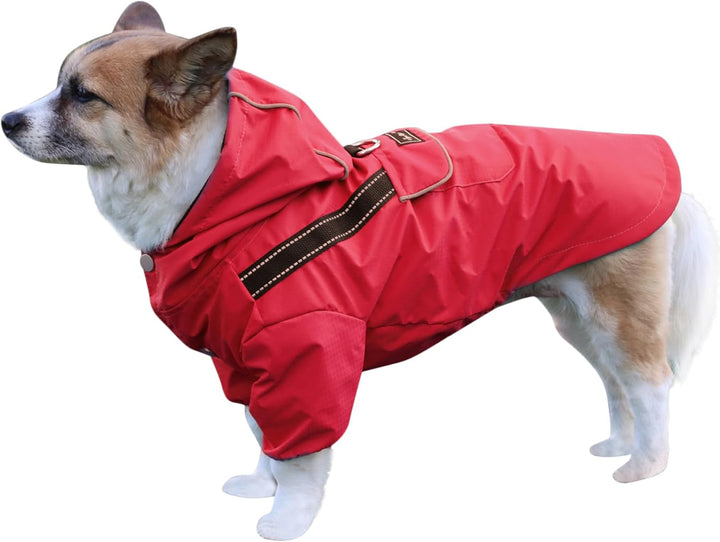 Premium-Regenmantel Mit Kapuze für Mittelgrosse Hunde, Outdoor-Sport, Wasserdichte Regenjacke, Welpe