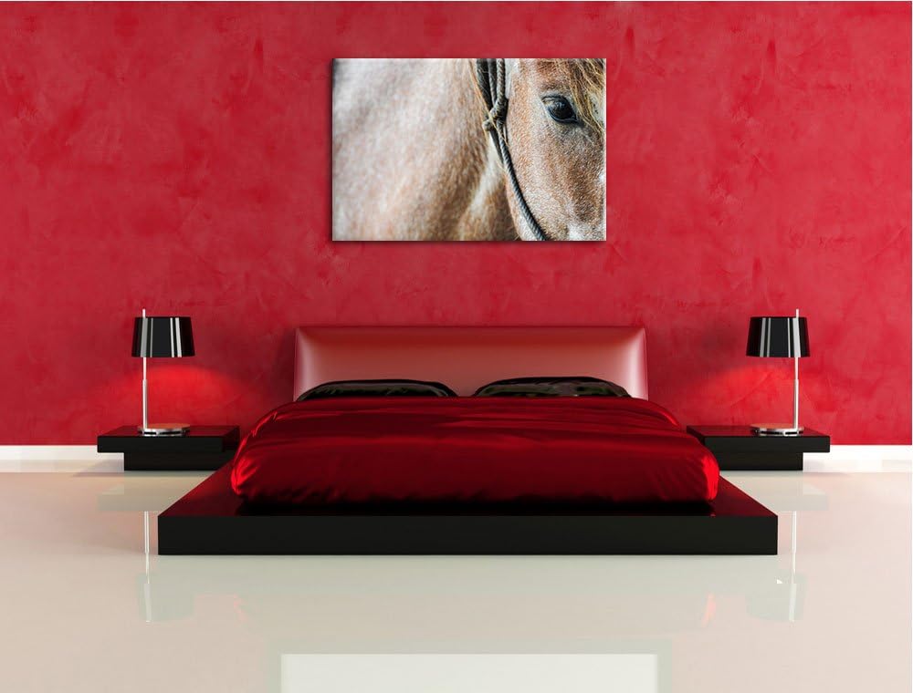 Pixxprint prachtvolles Pferd auf Leinwand, XXL riesige Bilder fertig gerahmt mit Keilrahmen, Kunstdr