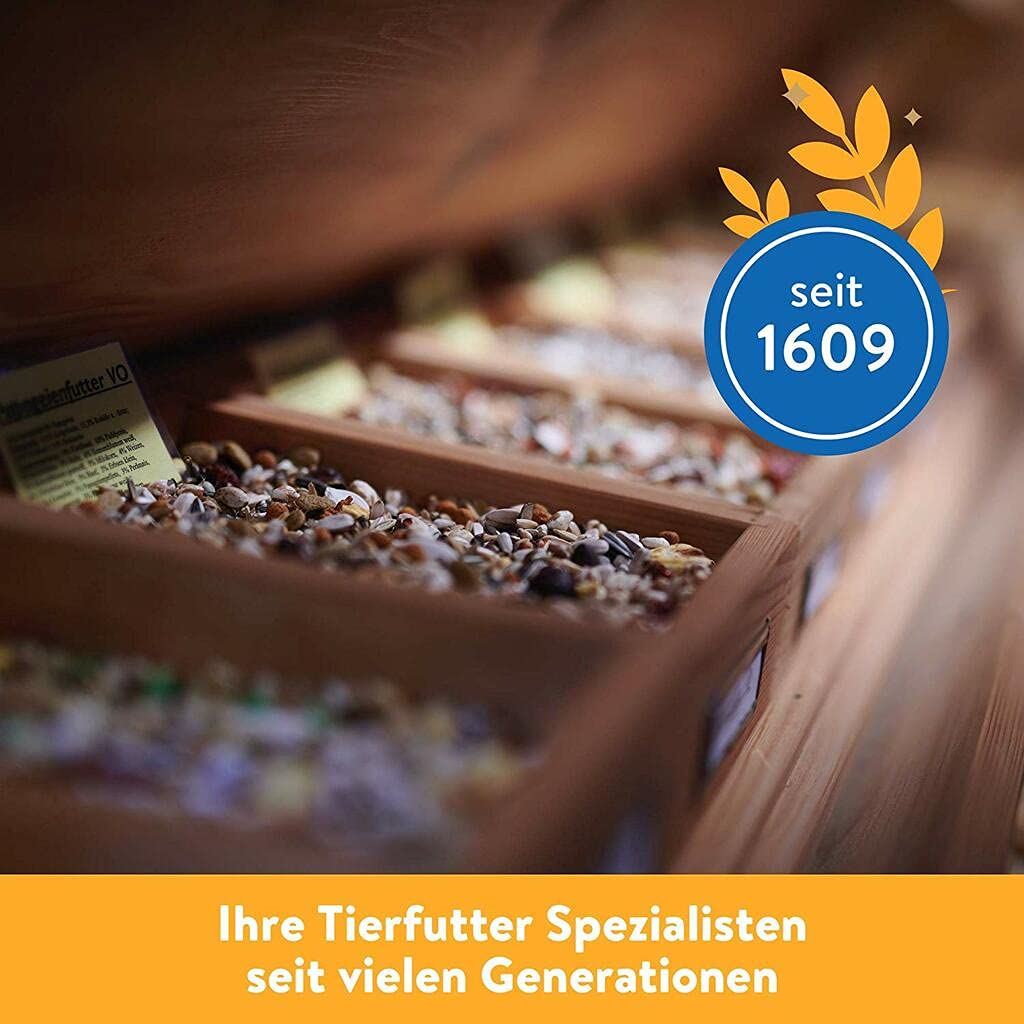 Leimüller Walnüsse mit Schale 25kg Eichhörnchenfutter Eichhörnchen Nüsse | Artgerecht, aus Österreic
