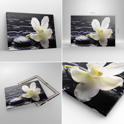 Bilder auf Leinwand Spa Orchidee Steine Wasser Leinwandbild 70x50cm Wandbilder Dekoration Wohnzimmer