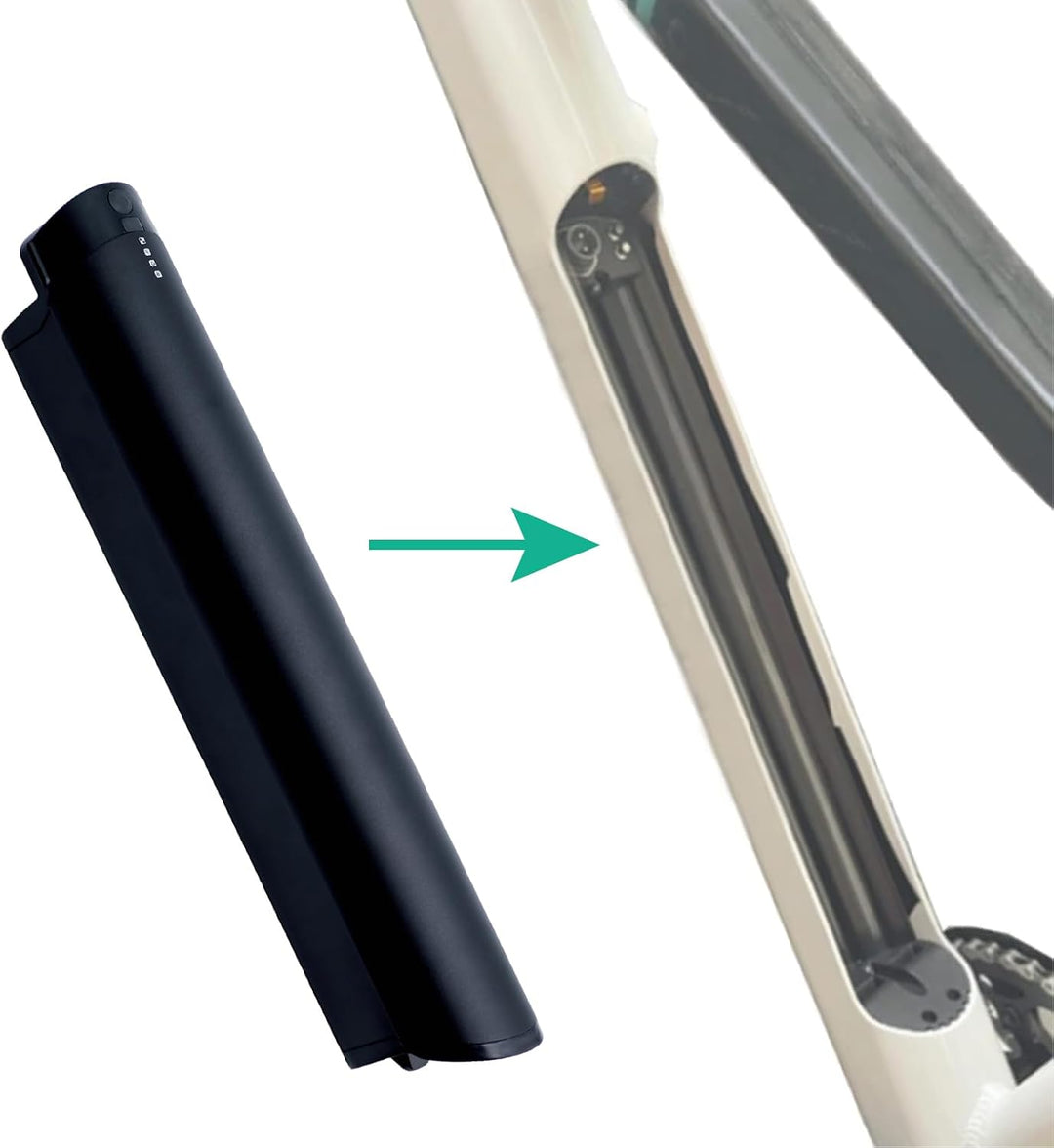 Ersatz für F.LLI Schiano E-Wave/Braver/E-Fully Reention EEL Mini für Zündapp z810 36V 250W/350W/500W