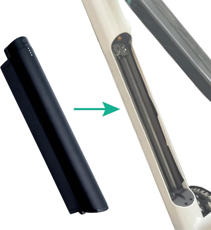 Ersatz für F.LLI Schiano E-Wave/Braver/E-Fully Reention EEL Mini für Zündapp z810 36V 250W/350W/500W