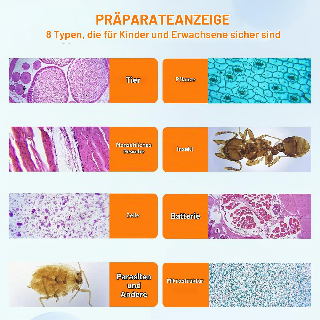 HUAREW 60 Pcs Mikroskop Objektträger mit Biologischen Proben, Pflanzen Insekten Menschliche Zelle fü