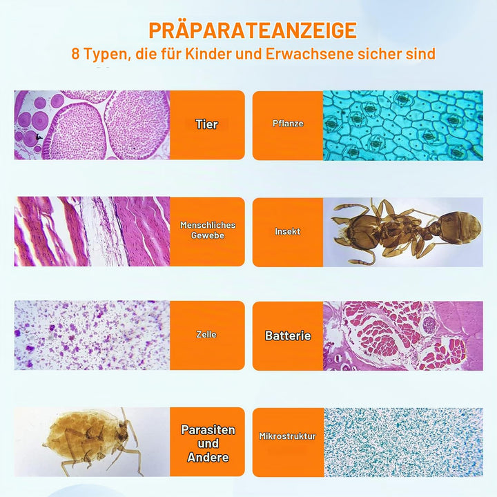 HUAREW 60 Pcs Mikroskop Objektträger mit Biologischen Proben, Pflanzen Insekten Menschliche Zelle fü