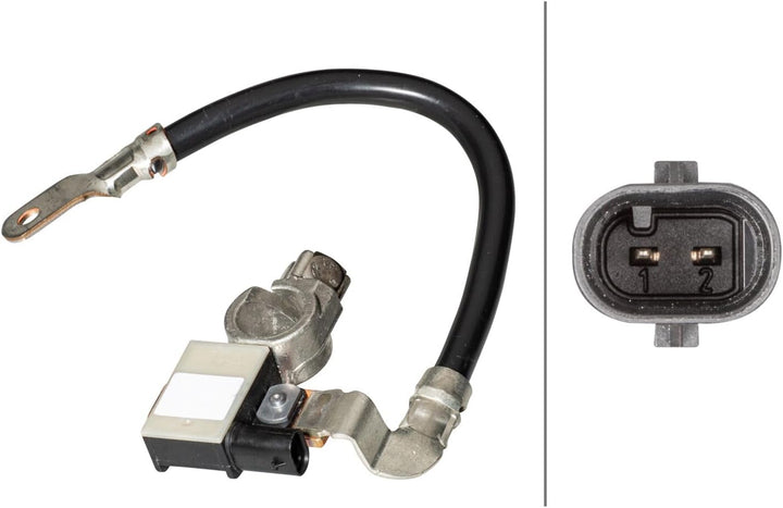 HELLA 6PK 010 840-911 Sensor, Batteriemanagement - 12V - geschraubt - Kabel: 217mm