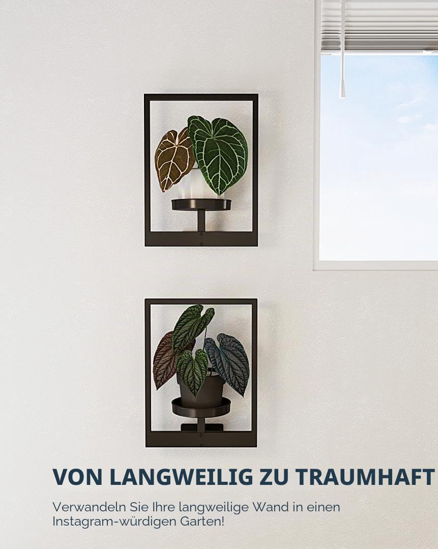 Bamworld Wandbehang Pflanzgefässe für Zimmerpflanzen 2 Set Wand Blumenständer Moderner Pflanzenständ
