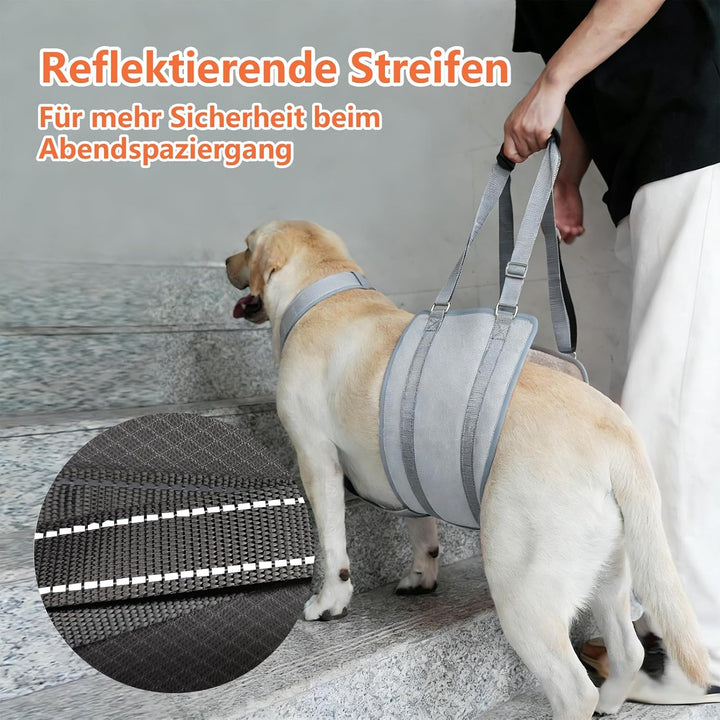 LUCKY LUCY Hundegeschirr mit Griff, Verstellbare Hunde-Tragehilfe für Hinterbeine & Nacken-Stütze, M