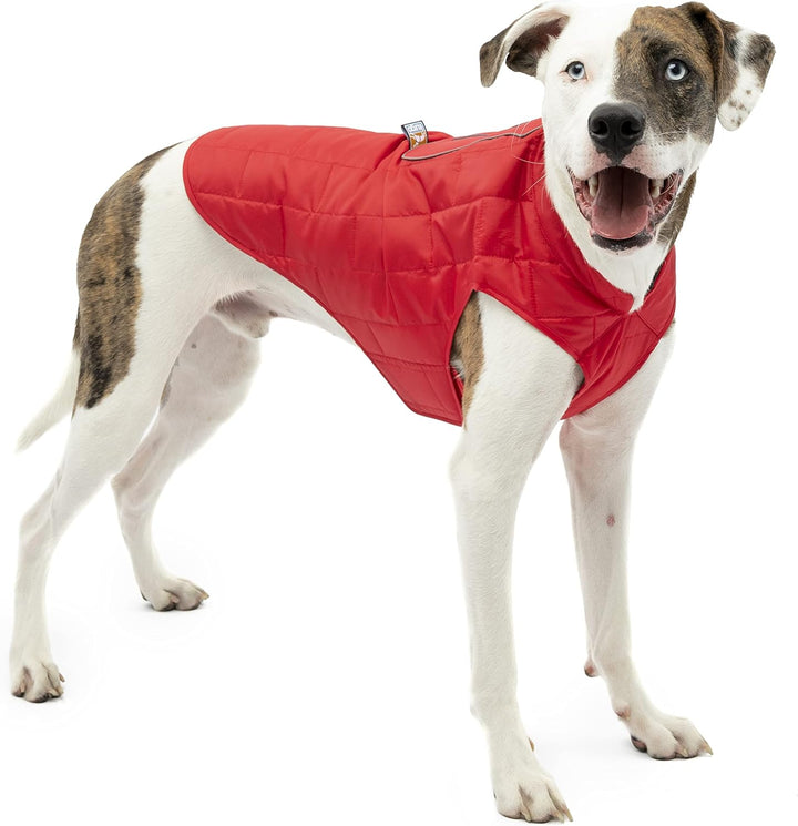 Kurgo Loft Hundejacke, Mit Hundegeschirr kombinierbar, Wasserdicht und reflektierend, Ideal für den