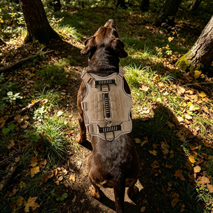 Taktisches Hundegeschirr Nylon reflektierend für grosse Hunde (Khaki) | Robustes Hundegeschirr Aus N