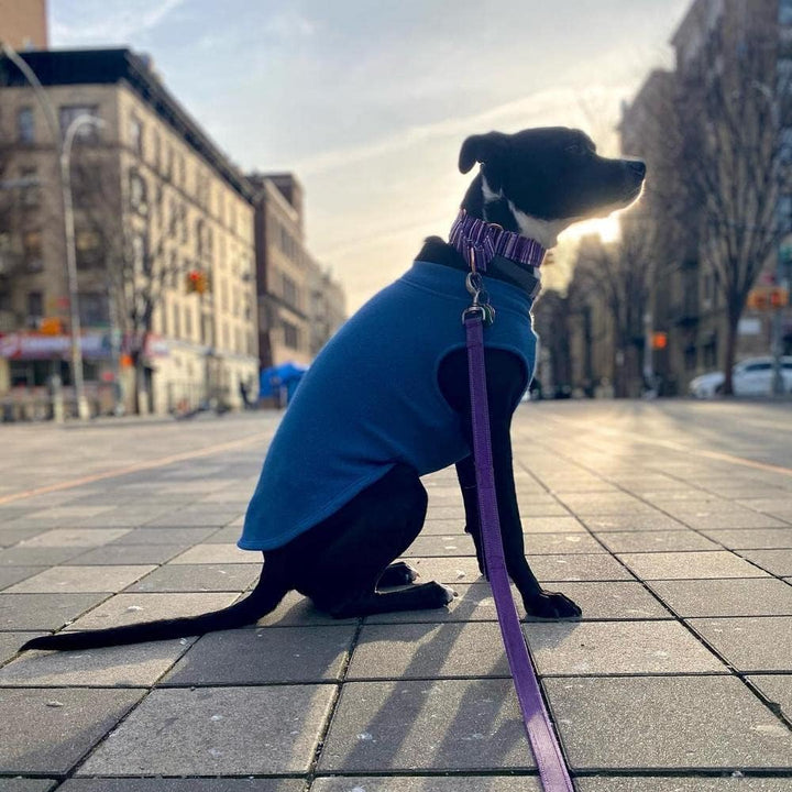 Gooby Hundepullover aus Stretch-Fleece, Stahlblau, Grösse 3XL, warme Hundejacke für kleine Hunde und